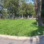 <Фотография до<br>